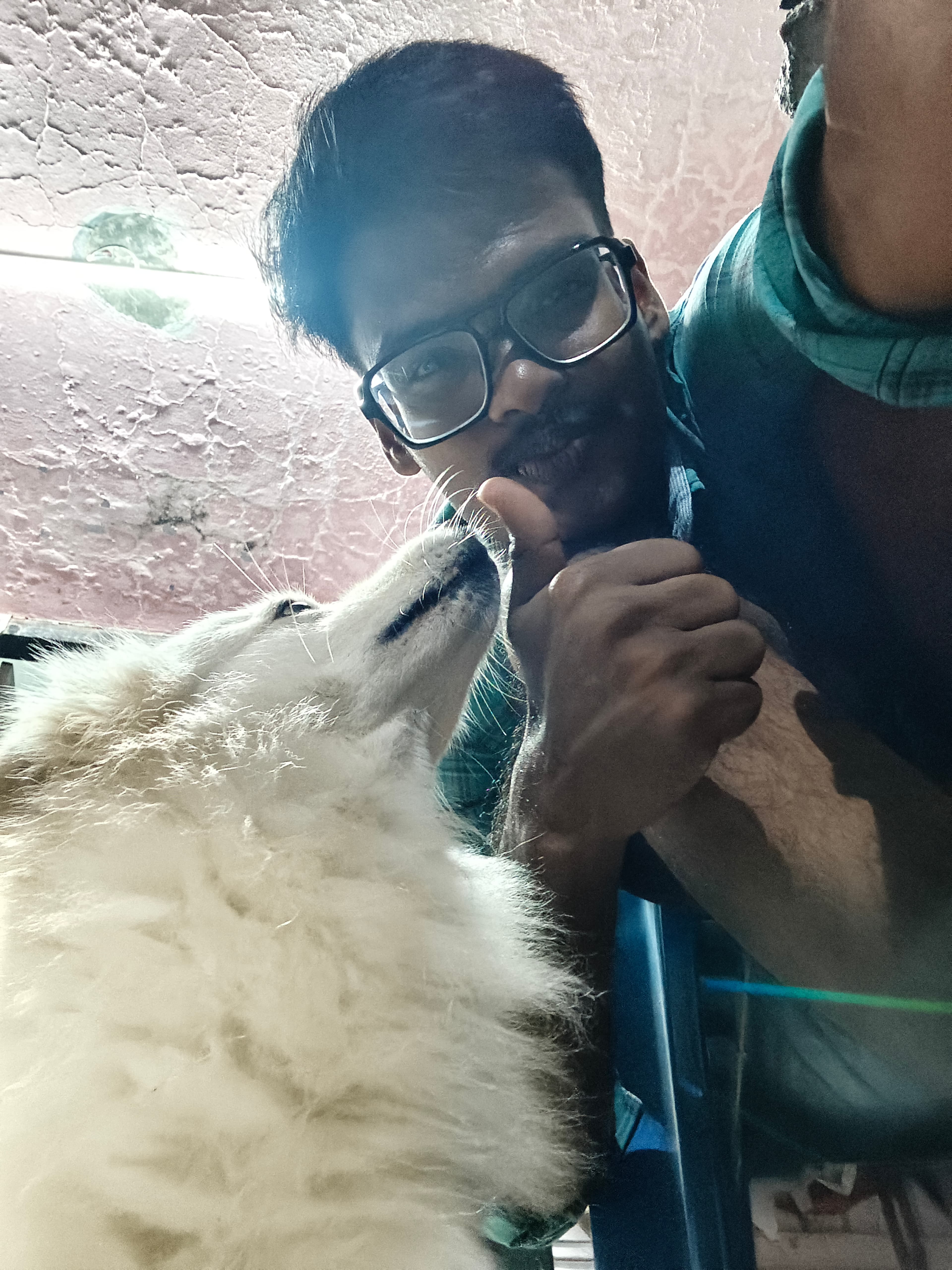 Does our pets sense our feelings?